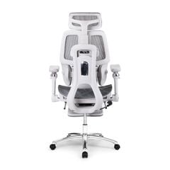 Ghế công thái học Ergonomic DERGO ErgoX E5 Pro 6D