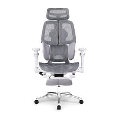 Ghế công thái học Ergonomic DERGO ErgoX E5 Pro 6D