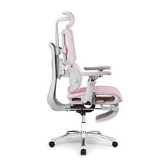Ghế công thái học Ergonomic DERGO ErgoX E5 Pro 6D