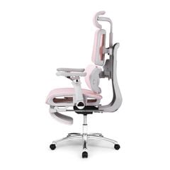 Ghế công thái học Ergonomic DERGO ErgoX E5 Pro 6D