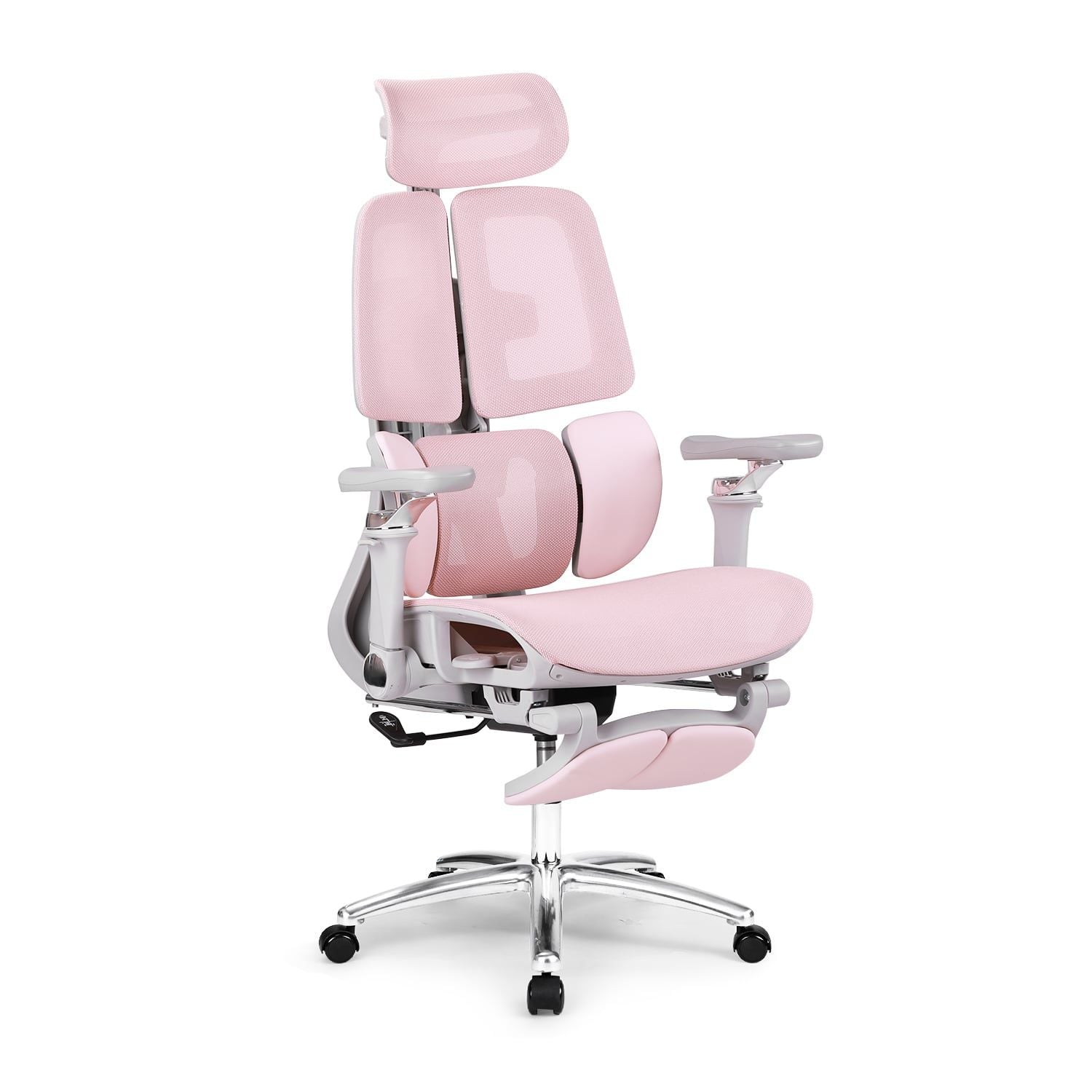 Ghế công thái học Ergonomic DERGO ErgoX E5 Pro 6D