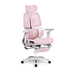 Ghế công thái học Ergonomic DERGO ErgoX E5 Pro 6D
