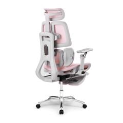 Ghế công thái học Ergonomic DERGO ErgoX E5 Pro 6D