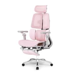 Ghế công thái học Ergonomic DERGO ErgoX E5 Pro 6D