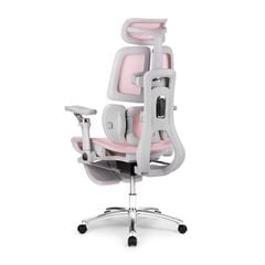 Ghế công thái học Ergonomic DERGO ErgoX E5 Pro 6D