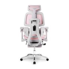 Ghế công thái học Ergonomic DERGO ErgoX E5 Pro 6D