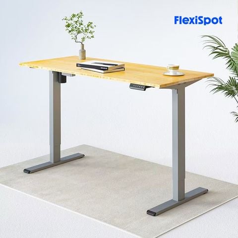  Bàn làm việc điều chỉnh độ cao FlexiSpot ET114(2 Stages) 