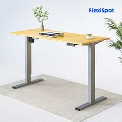 Bàn làm việc điều chỉnh độ cao FlexiSpot ET114(2 Stages)