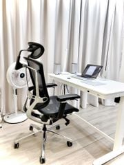 Ghế Công thái học Ergonomic GTChair Marrit X - Bản tay 5D