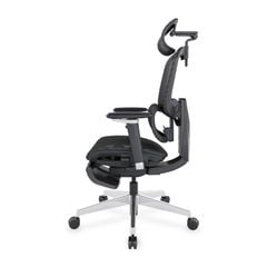 Ghế Công Thái Học Ergonomic ErgoStuhl Fenix 9