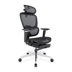 Ghế Công Thái Học Ergonomic ErgoStuhl Fenix 9