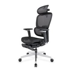 Ghế Công Thái Học Ergonomic ErgoStuhl Fenix 9