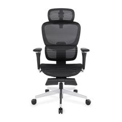 Ghế Công Thái Học Ergonomic ErgoStuhl Fenix 9