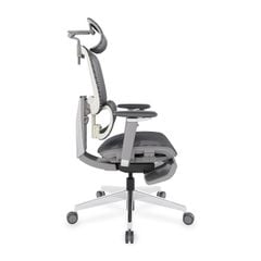 Ghế Công Thái Học Ergonomic ErgoStuhl Fenix 9