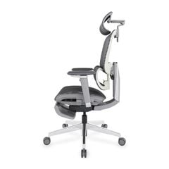 Ghế Công Thái Học Ergonomic ErgoStuhl Fenix 9