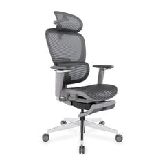 Ghế Công Thái Học Ergonomic ErgoStuhl Fenix 9