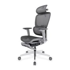 Ghế Công Thái Học Ergonomic ErgoStuhl Fenix 9