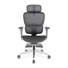 Ghế Công Thái Học Ergonomic ErgoStuhl Fenix 9