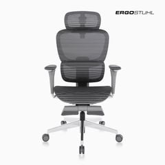 Ghế Công Thái Học Ergonomic ErgoStuhl Fenix 9