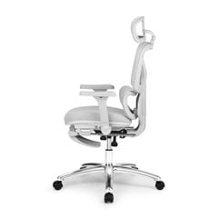 Ghế công thái học Ergonomic DERGO ErgoX G6 5D