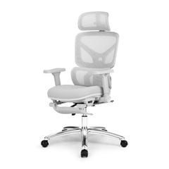 Ghế công thái học Ergonomic DERGO ErgoX G6 5D