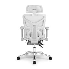 Ghế công thái học Ergonomic DERGO ErgoX G6 5D
