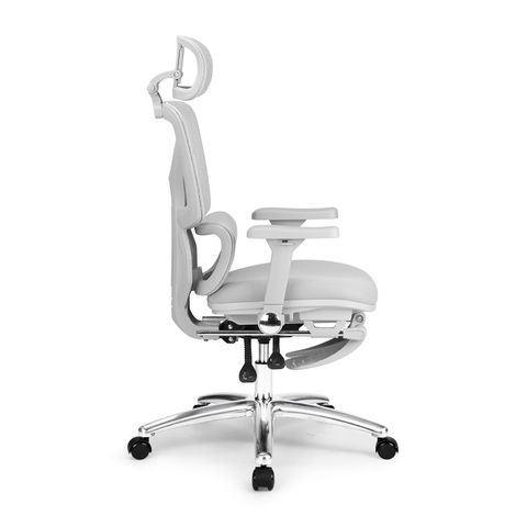  Ghế công thái học Ergonomic DERGO ErgoX G6 5D 