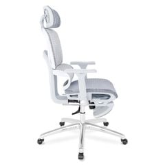 Ghế công thái học Ergonomic DERGO ErgoX G8 5D