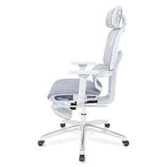 Ghế công thái học Ergonomic DERGO ErgoX G8 5D