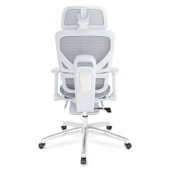 Ghế công thái học Ergonomic DERGO ErgoX G8 5D
