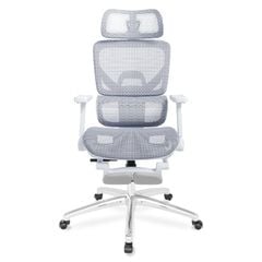 Ghế công thái học Ergonomic DERGO ErgoX G8 5D