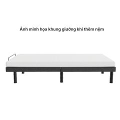 Giường công thái học chỉnh điện FlexiSpot S5K