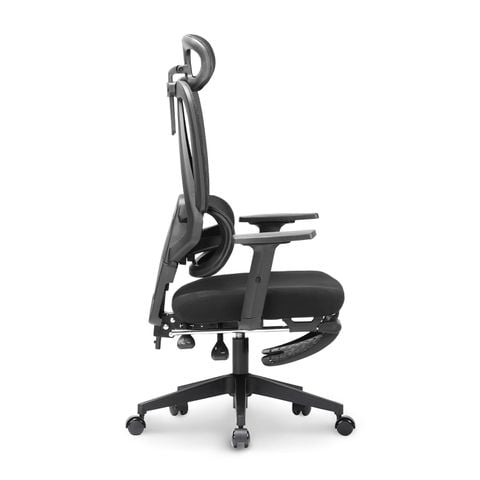  Ghế công thái học Ergonomic DERGO M2 