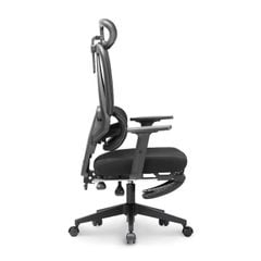 Ghế công thái học Ergonomic DERGO M2