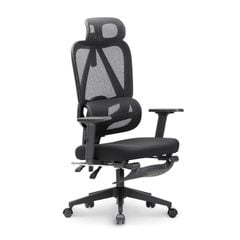 Ghế công thái học Ergonomic DERGO M2