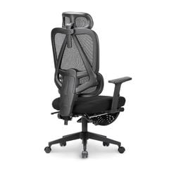 Ghế công thái học Ergonomic DERGO M2