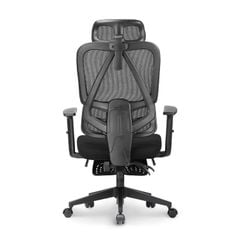Ghế công thái học Ergonomic DERGO M2