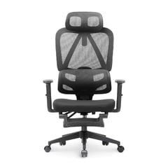 Ghế công thái học Ergonomic DERGO M2