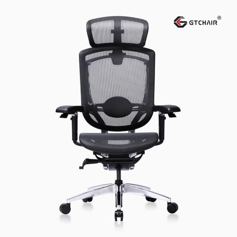 Ghế Công thái học Cao Cấp GTChair Marrit X Plus 