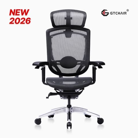  Ghế Công thái học Cao Cấp GTChair Marrit X Plus 