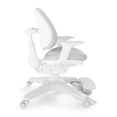 Ghế chống gù tự động chỉnh dáng iSmart Miller M2