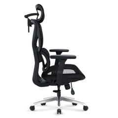 Ghế Công thái học ErgoStuhl S1