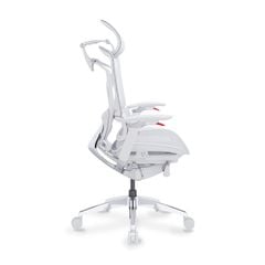 Ghế Công Thái Học Ergonomic GTChair Alien Space Grey