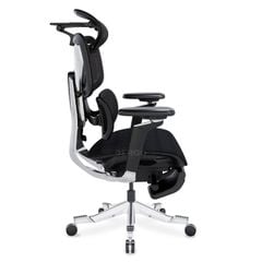 Ghế Công thái học ErgoStuhl Max 1 (with Footrest)