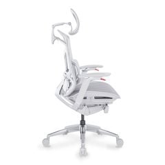 Ghế Công Thái Học Ergonomic GTChair Dvary Butterfly Ultra