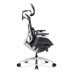 Ghế Công Thái Học Ergonomic GTChair Dvary Butterfly Ultra