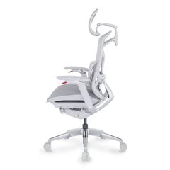 Ghế Công Thái Học Ergonomic GTChair Dvary Butterfly Ultra