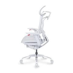 Ghế Công Thái Học Ergonomic GTChair Alien Space Grey