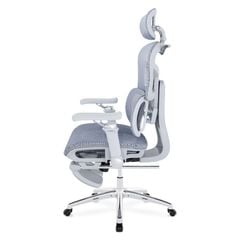 Ghế công thái học Ergonomic DERGO ErgoX G9 6D