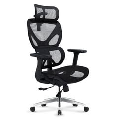 Ghế Công thái học ErgoStuhl S1